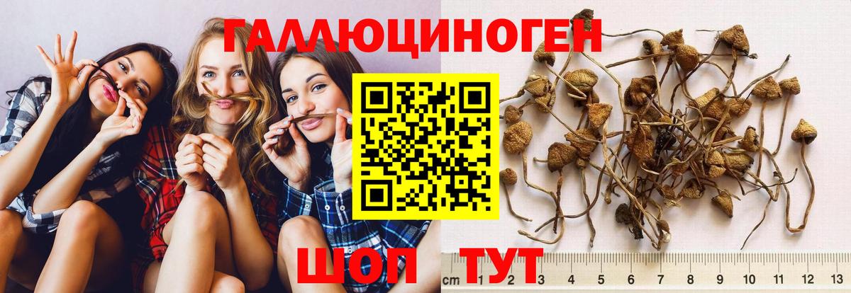 Коряжма  Псилоцибиновые грибы мицелий  Вход с VPN 